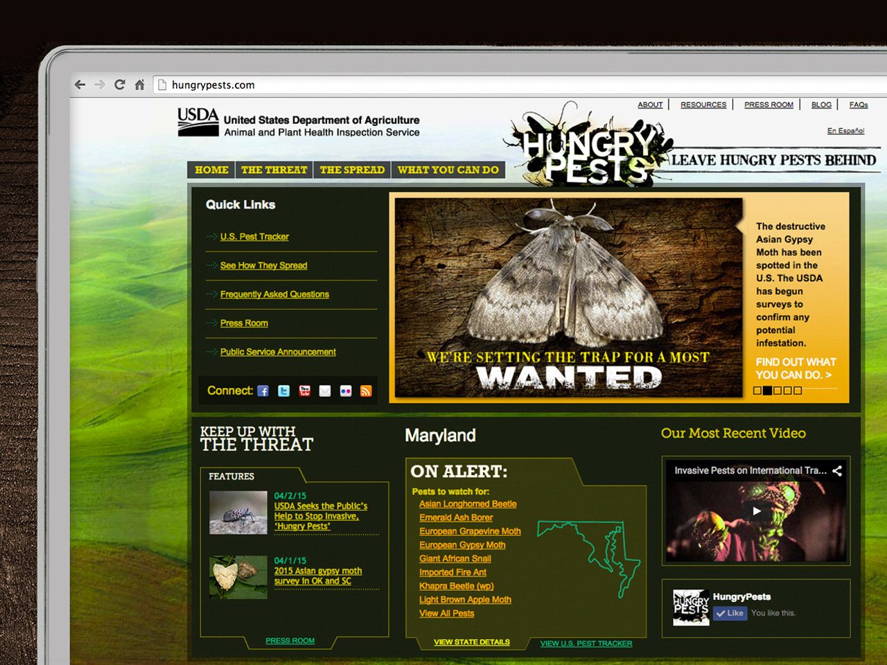 Hungry Pests Website